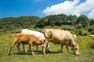 格雷茨卡：克雷茨格幽默、踏实而且聪明，他享受在一线队的日子